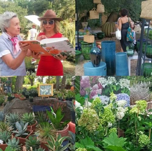 Conserva della neve: 20 anni di biodiversità e arte al Museo Orto Botanico di Roma