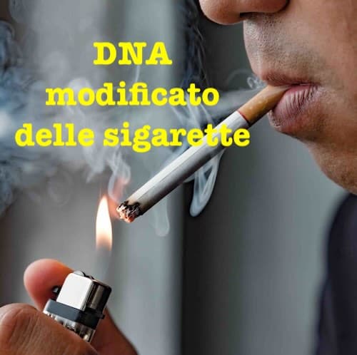 DNA modificato dalle sigarette. Gli effetti anche dopo decenni