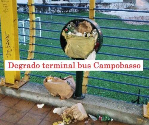 Campobasso degrado terminal bus, Fratelli d’Italia segnala sporcizia, escrementi, rifiuti