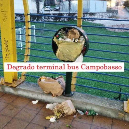 Campobasso degrado terminal bus, Fratelli d’Italia segnala sporcizia, escrementi, rifiuti