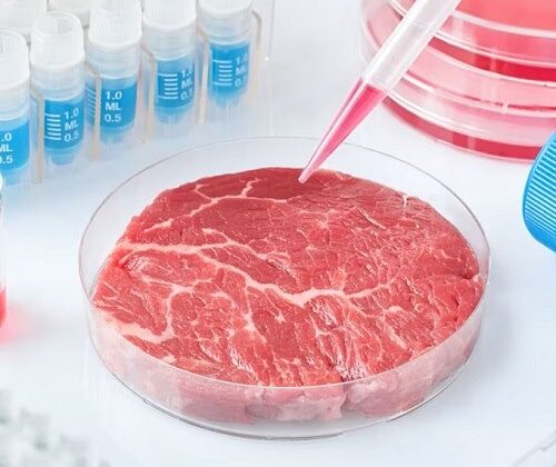 CultMeat carne coltivata Università: successo per la campagna di crowdfounding che sostiene l'ambiente