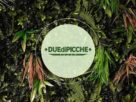 Duedipicche Vegan Campobasso: alta gastronomia per la salute e l'ambiente