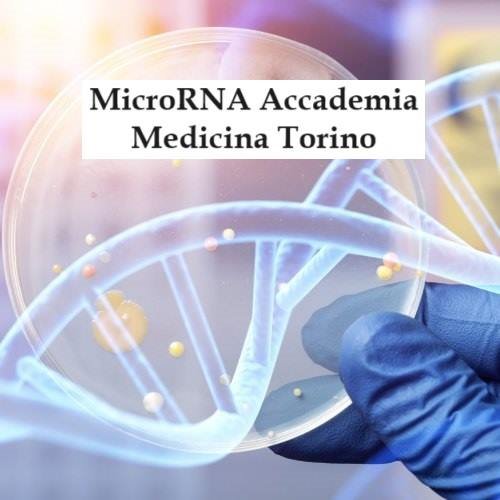 MicroRNA Accademia Medicina Torino, il tema che aprirà le porte al nuovo anno accademico