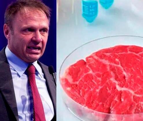 Carne coltivata Lollobrigida bacchettato dall’Ue: vizio procedurale nella legge