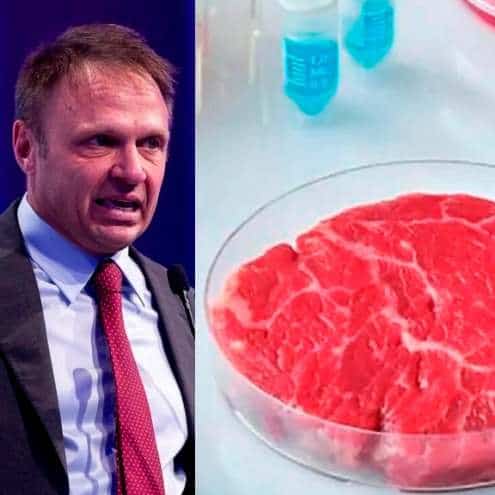 Carne coltivata Lollobrigida bacchettato dall’Ue: vizio procedurale nella legge