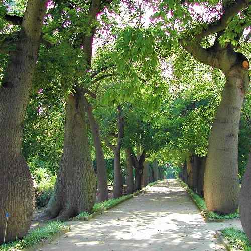 Oltre il giardino e Maturare competenze: corsi per valorizzare parchi e giardini storici II edizione