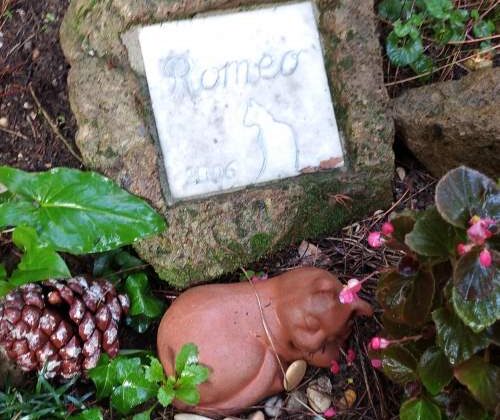 Tomba del gatto Romeo accanto a Gramsci al Cimitero acattolico di Roma