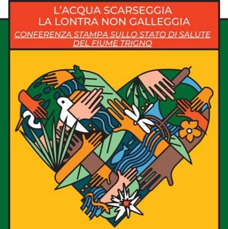 Acqua scarseggia lontra galleggia? Tuteliamo le Zone Umide del Trigno in Molise. Se ne parla a Roccavivara