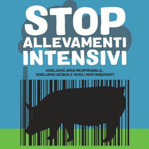 Allevamenti intensivi principale inquinamento da polveri sottili in Italia