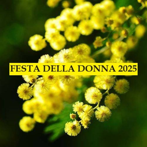 Festa della donna 2025: mimose, lotta per le pari opportunità e sostegno dallo Stato italiano